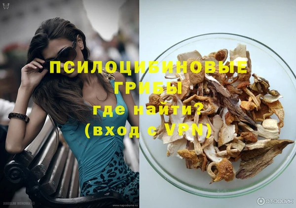 ECSTASY Абаза