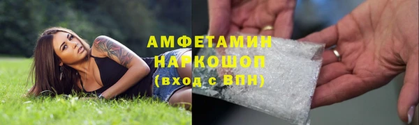 ГАЛЛЮЦИНОГЕННЫЕ ГРИБЫ Алексин