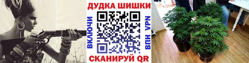 Бошки марихуана марихуана  MEGA tor  darknet формула  Лабытнанги 